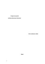 Referāts 'Kaitīgās vielas pārtikā', 1.