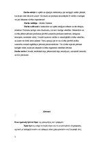 Referāts 'Kaitīgās vielas pārtikā', 3.