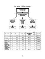 Referāts 'SIA ''Auto''', 8.