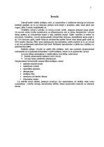 Referāts 'Samaksas veidi starptautiskajā tirdzniecībā', 3.