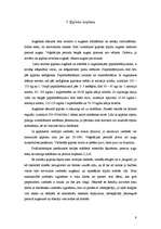 Referāts 'Ķiploku audzēšanas tehnoloģija', 7.