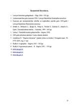 Referāts 'Graudaugu ražošanas plāns z/s ''Pilslejas''', 28.