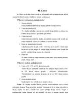 Referāts 'LMT pakalpojumi', 20.