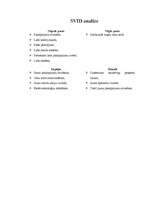 Referāts 'LMT pakalpojumi', 23.