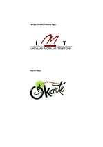 Referāts 'LMT pakalpojumi', 27.