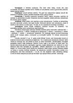 Eseja 'Dramaturģijas raksturojums', 3.