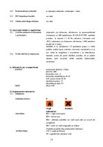 Referāts 'Acetons', 19.