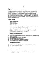 Referāts 'Pārrunas ģimenes locekļiem', 3.