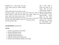 Prakses atskaite 'Aktīvā mācību un audzināšanas prakse pirmsskolā', 9.