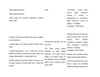 Prakses atskaite 'Aktīvā mācību un audzināšanas prakse pirmsskolā', 11.