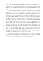 Eseja 'Vai Latvijai ir nepieciešama renesanse?', 2.