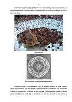 Referāts 'Džainisms', 10.