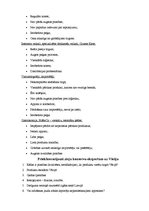 Referāts 'Zivju konservu eksporta iespējas Vācijā', 11.