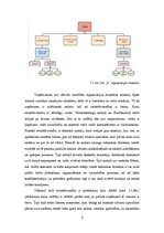 Referāts 'Organizācijas kultūra uzņēmumā "X"', 5.
