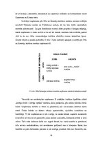 Referāts 'Organizācijas kultūra uzņēmumā "X"', 16.