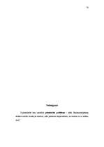 Diplomdarbs 'Skaistumkopšanas salona “X” imidžs un tā iespējamais korekcijas plāns', 76.