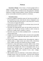 Konspekts 'Stundas plāns literatūrā 11.klasei', 2.