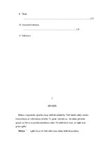 Referāts 'Mediju ietekme uz jauniešiem', 3.