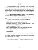 Referāts 'AS "Hanzas maiznīca" finansiālā stāvokļa analīze', 3.