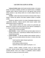 Referāts 'AS "Hanzas maiznīca" finansiālā stāvokļa analīze', 8.