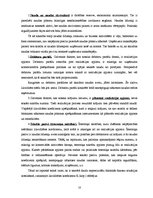 Referāts 'AS "Hanzas maiznīca" finansiālā stāvokļa analīze', 10.