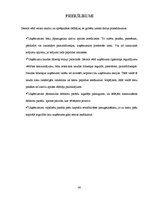 Referāts 'AS "Hanzas maiznīca" finansiālā stāvokļa analīze', 40.