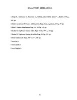 Referāts 'AS "Hanzas maiznīca" finansiālā stāvokļa analīze', 41.