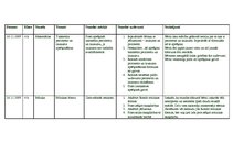 Konspekts 'Prakses apraksts', 5.