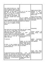 Konspekts 'Intervija ar mazpazīstamu personu', 2.