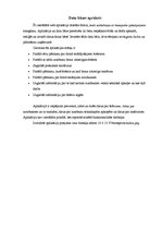 Paraugs 'Datu bāzes apraksts transporta pakalpojumu firmai', 2.