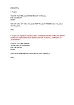 Paraugs 'Datu bāzes apraksts transporta pakalpojumu firmai', 6.