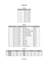 Paraugs 'Datu bāzes apraksts transporta pakalpojumu firmai', 14.
