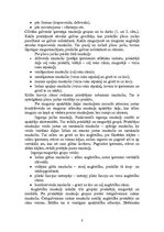 Referāts 'Muskuļu funkcijas smagatlētikā', 8.