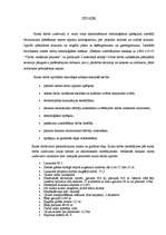 Referāts 'Zemes darbi', 3.