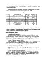 Referāts 'Zemes darbi', 16.