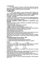 Konspekts 'Lietvedība', 6.