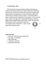 Referāts 'Putekļu sūcēju darbība, to klasifikācija', 6.