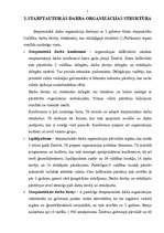 Referāts 'Starptautiskā darba organizācija', 5.