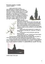 Referāts 'Skuju koki Latvijā', 9.