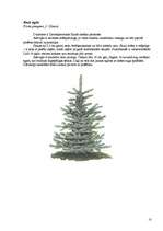 Referāts 'Skuju koki Latvijā', 10.