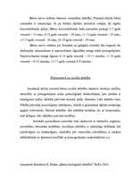 Konspekts 'Bērna attīstība', 4.