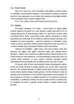 Referāts 'Nozares apraksts - tirdzniecība un vieglā rūpniecība', 12.