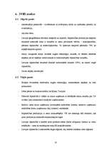 Referāts 'Nozares apraksts - tirdzniecība un vieglā rūpniecība', 19.