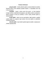 Referāts 'Pieaugušo izglītība Latvijā', 8.