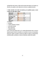 Diplomdarbs 'Viesu mājas izveide Sidrabenes pagastā', 20.