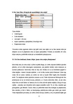 Diplomdarbs 'Viesu mājas izveide Sidrabenes pagastā', 21.