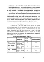 Diplomdarbs 'Viesu mājas izveide Sidrabenes pagastā', 29.