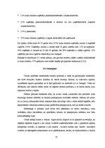 Diplomdarbs 'Viesu mājas izveide Sidrabenes pagastā', 36.