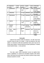 Diplomdarbs 'Viesu mājas izveide Sidrabenes pagastā', 49.