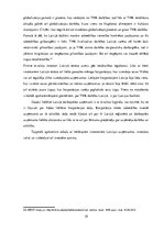 Referāts 'Transnacionālo korporāciju darbība Latvijā', 18.